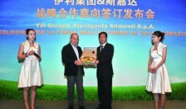 伊利最新爆料新闻联播,携手新闻联播，共筑品牌新篇章