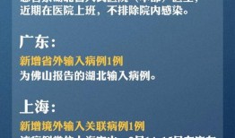 武汉核酸最新爆料,揭秘病毒检测背后的真相与挑战
